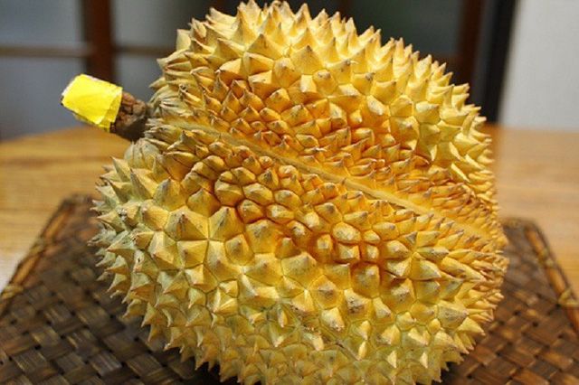 Chọn sầu dựa theo hình dáng