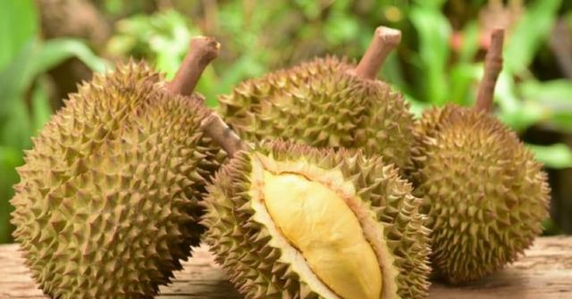 Giá sầu riêng tại Hà Nội