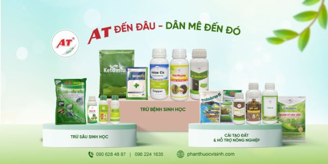 Mua thuốc trị nứt thân xì mủ ở đâu?