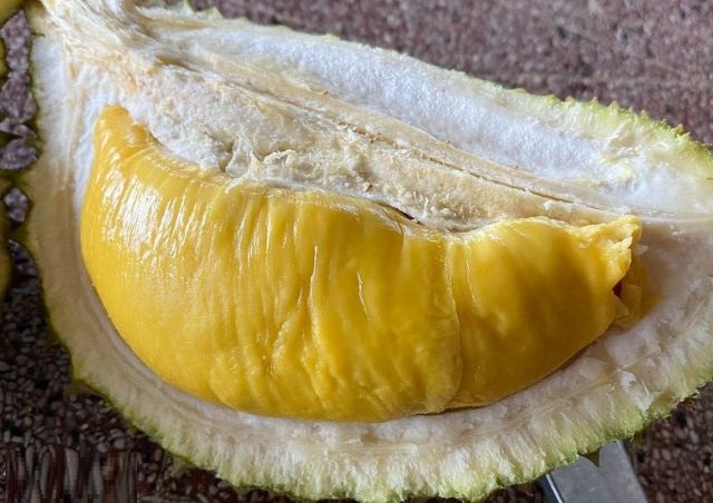 Điểm nổi bật của sầu Musang King