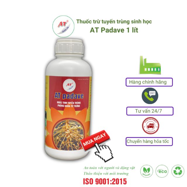 Phương pháp trị tuyến trùng rễ