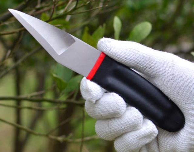 Dụng cụ ghép sầu riêng
