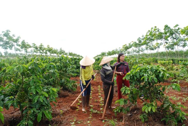 Biện pháp phòng tránh
