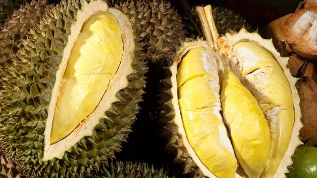 Sầu riêng khổ qua – Thức quả thơm ngon, nức lòng người thưởng thức