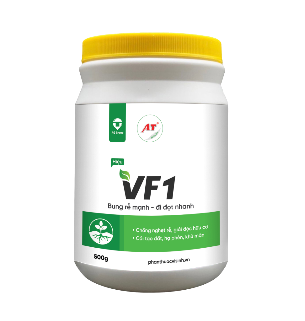 VF1 - Bung rễ mạnh, đi đọt nhanh