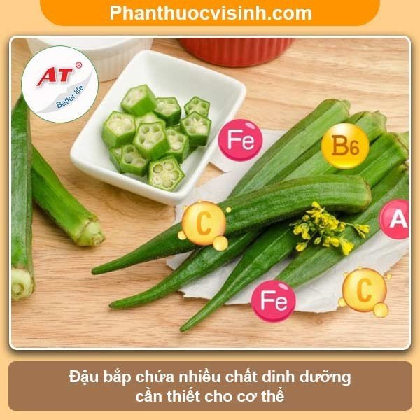 Cách trồng đậu bắp cho trái sai trĩu cành đạt năng suất cao 2 Cách trồng đậu bắp cho trái sai trĩu cành đạt năng suất cao