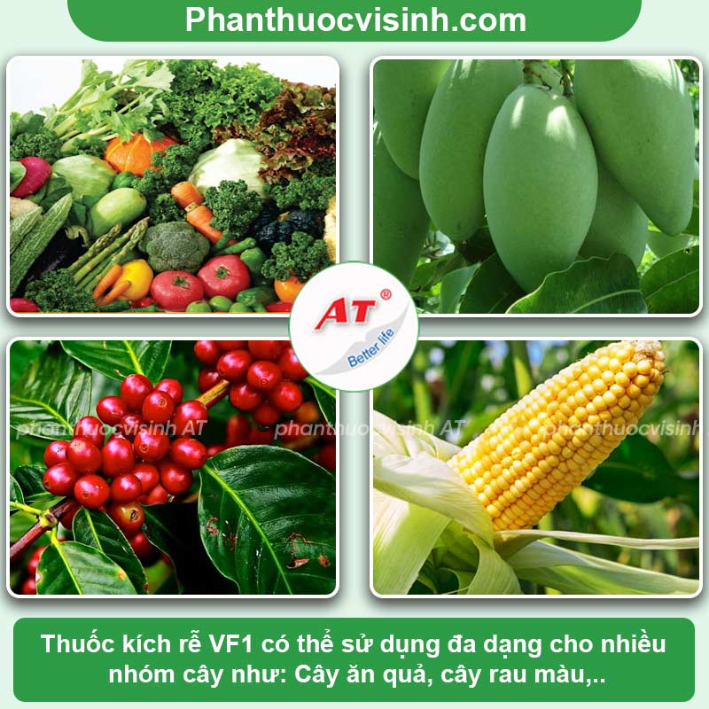 VF1 - Bung rễ mạnh, đi đọt nhanh 3 Thuốc siêu ra rễ cực mạnh - hỗ trợ bung đọt đi rễ nhanh