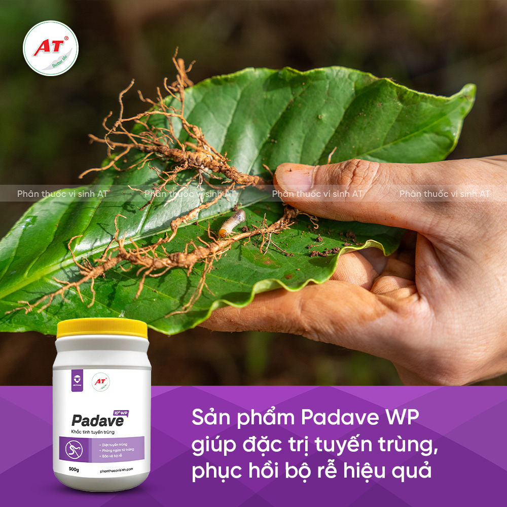 Padave WP trị tuyến trùng