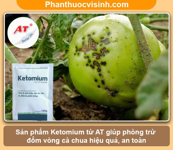 Cách phòng trị bệnh đốm vòng cà chua hiệu quả, an toàn