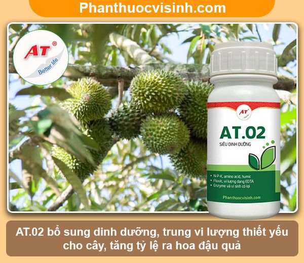 Có nên trồng sầu riêng Musang King tại Việt Nam không?