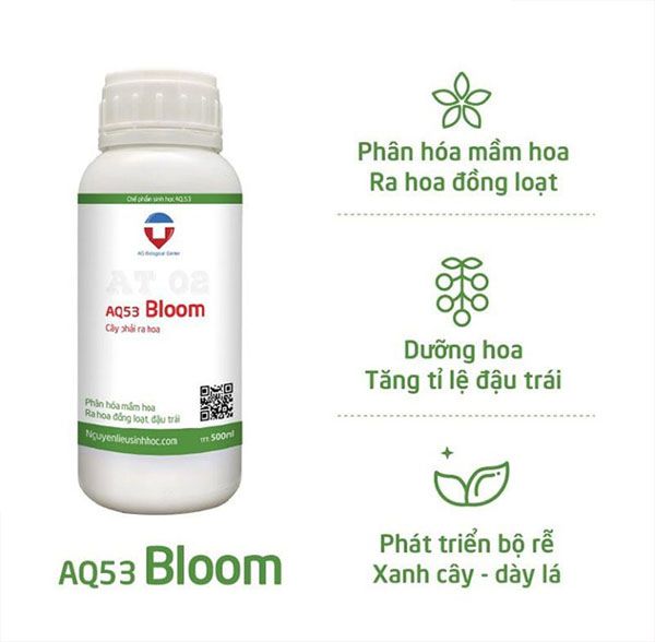 TOP 3 thuốc kích thích ra hoa đồng loạt, nhiều vườn sử dụng