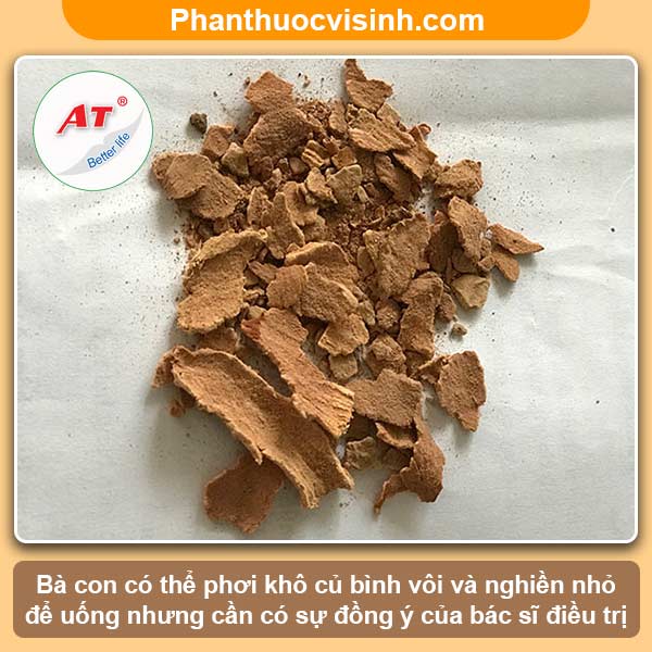 Cách trồng củ bình vôi tại nhà với công dụng thân kỳ 2 Cách trồng củ bình vôi tại nhà với công dụng thân kỳ