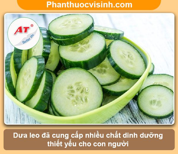 Tại sao dưa leo bị đắng? Nguyên nhân và cách khắc phục