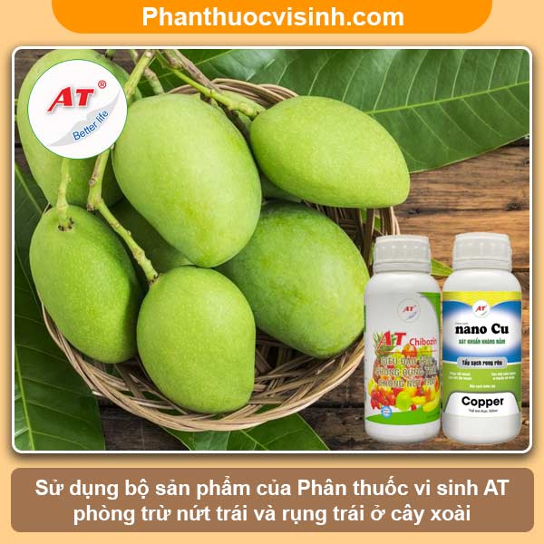 Xoài bị nứt trái nguyên nhân do đâu & Cách khắc phục