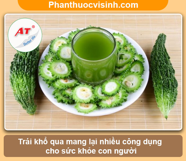 Cách trồng khổ qua bằng hạt nảy mầm 100%, mau lớn sai quả