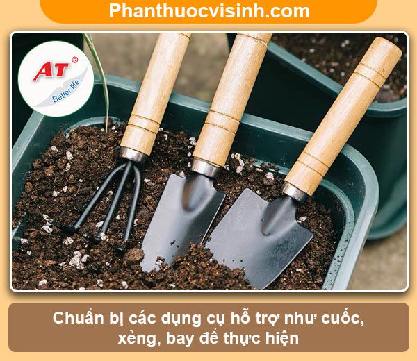Hướng dẫn cách trồng quýt bằng hạt nảy mầm 100%, lớn nhanh