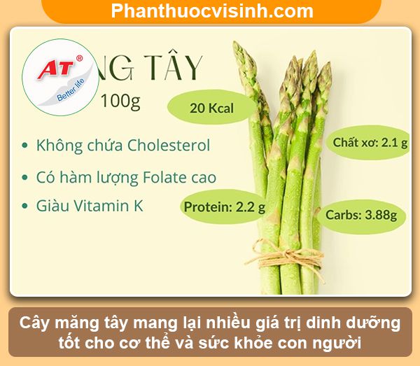 Cách trồng măng tây bằng hạt nảy mầm 100%, lớn nhanh