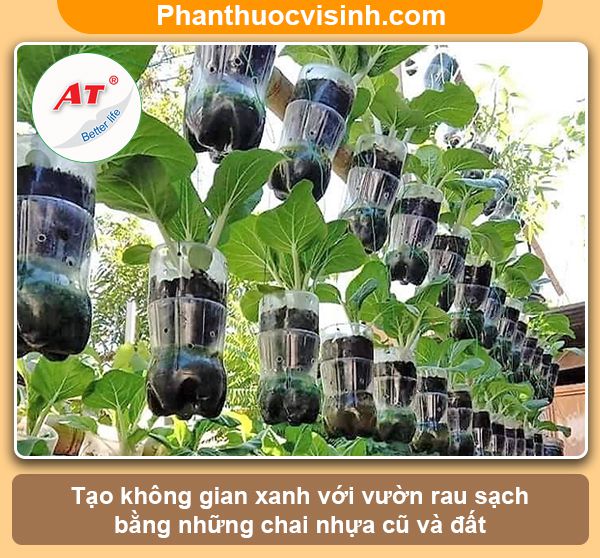 Hướng dẫn trồng rau bằng chai nhựa tạo khu vườn xanh, sạch