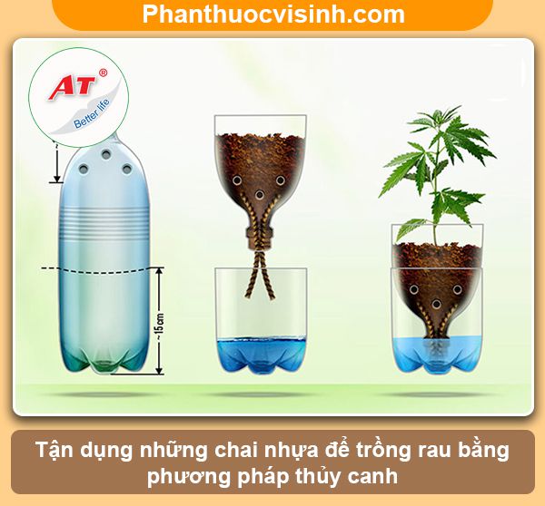 Hướng dẫn trồng rau bằng chai nhựa tạo khu vườn xanh, sạch