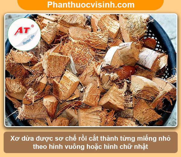 Hướng dẫn cách trồng lan bằng xơ dừa hoa nở rực rỡ, lâu tàn