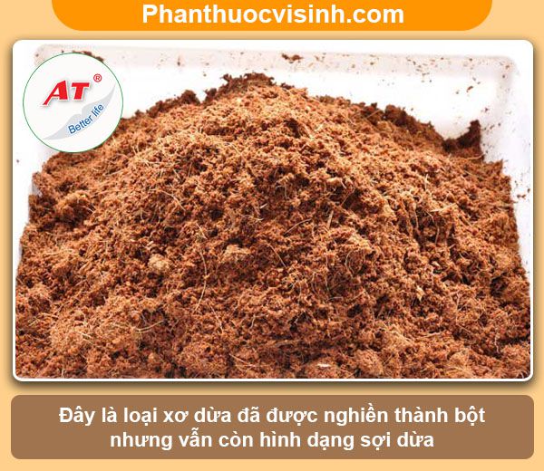 Hướng dẫn cách trồng lan bằng xơ dừa hoa nở rực rỡ, lâu tàn