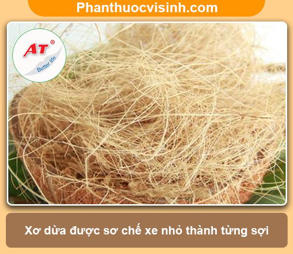 Hướng dẫn cách trồng lan bằng xơ dừa hoa nở rực rỡ, lâu tàn