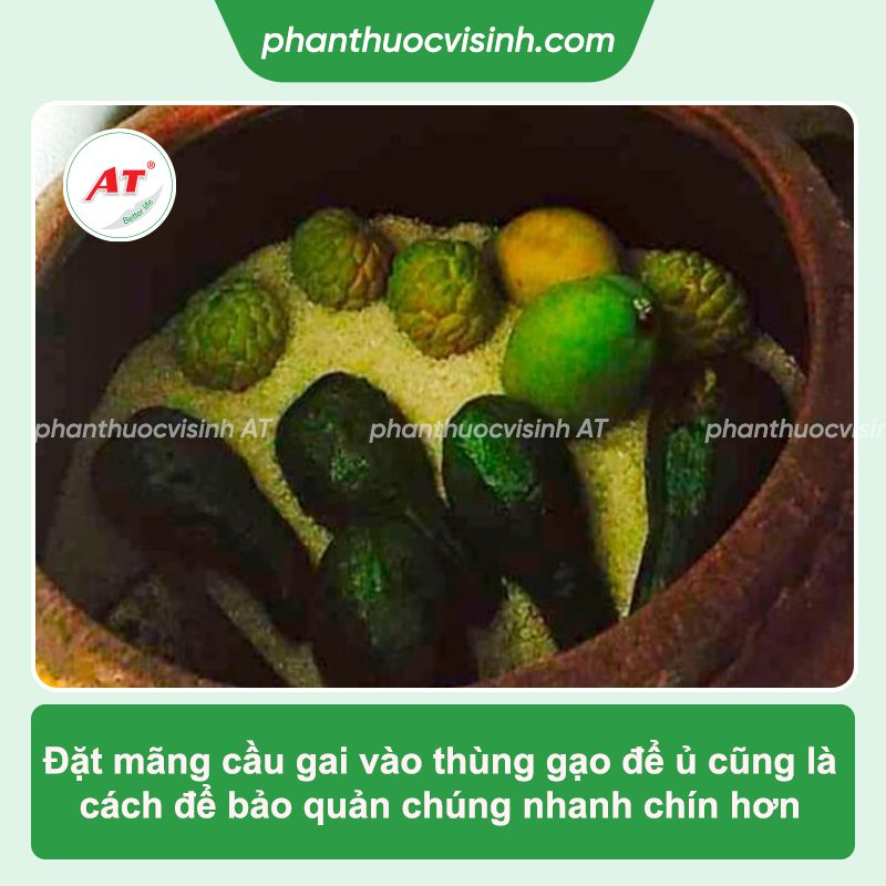 Cách ủ mãng cầu gai nhanh chín tại nhà, không dùng hóa chất