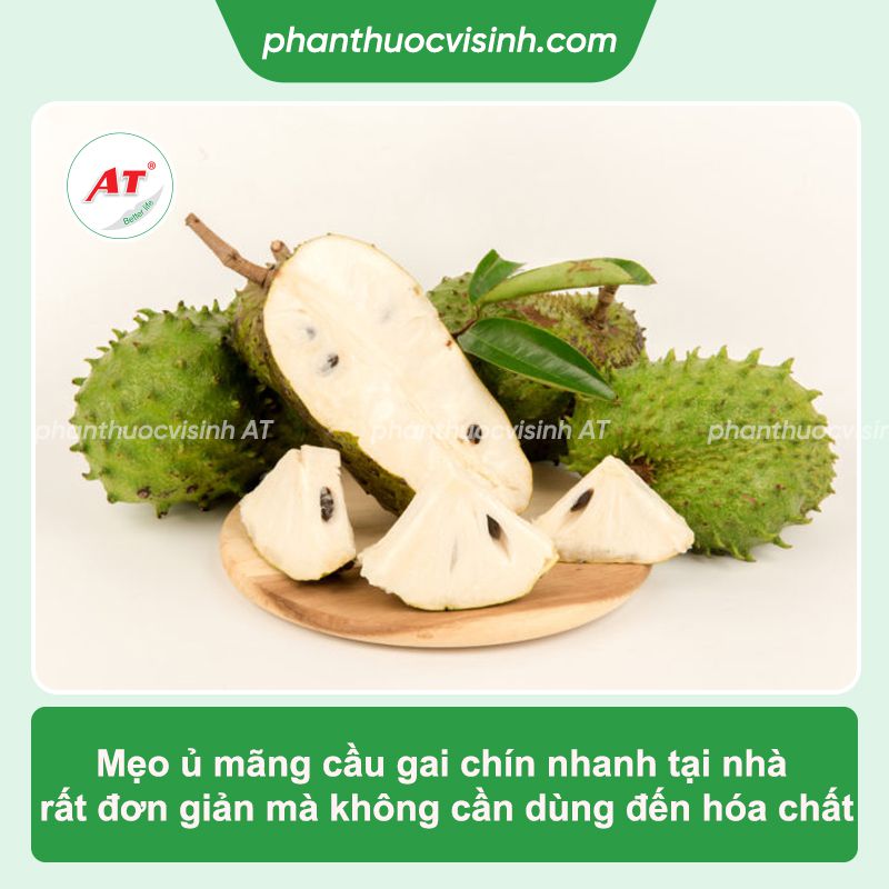 Cách ủ mãng cầu gai nhanh chín tại nhà, không dùng hóa chất