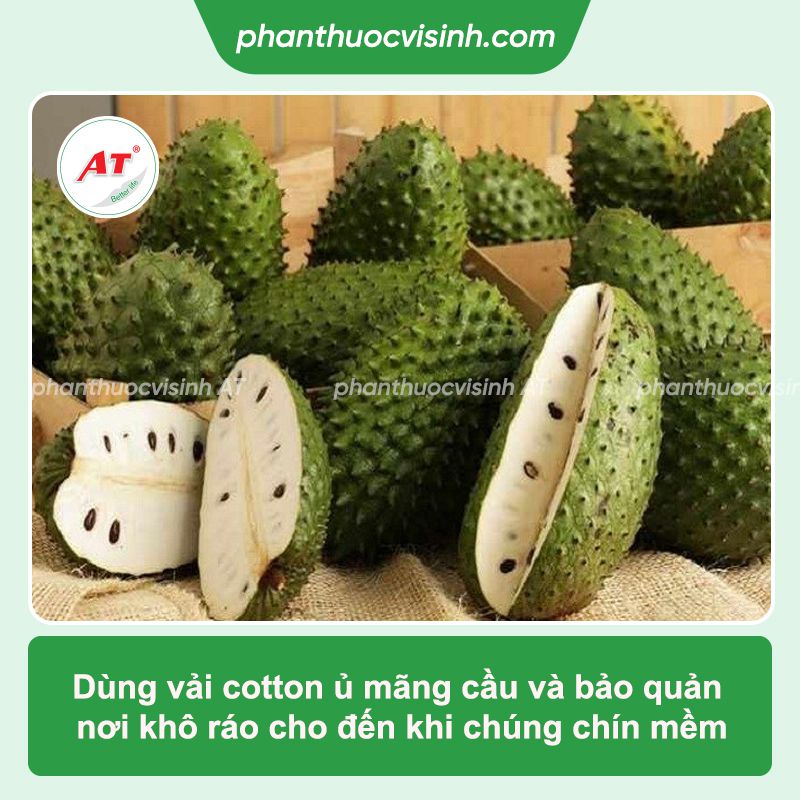Cách ủ mãng cầu gai nhanh chín tại nhà, không dùng hóa chất
