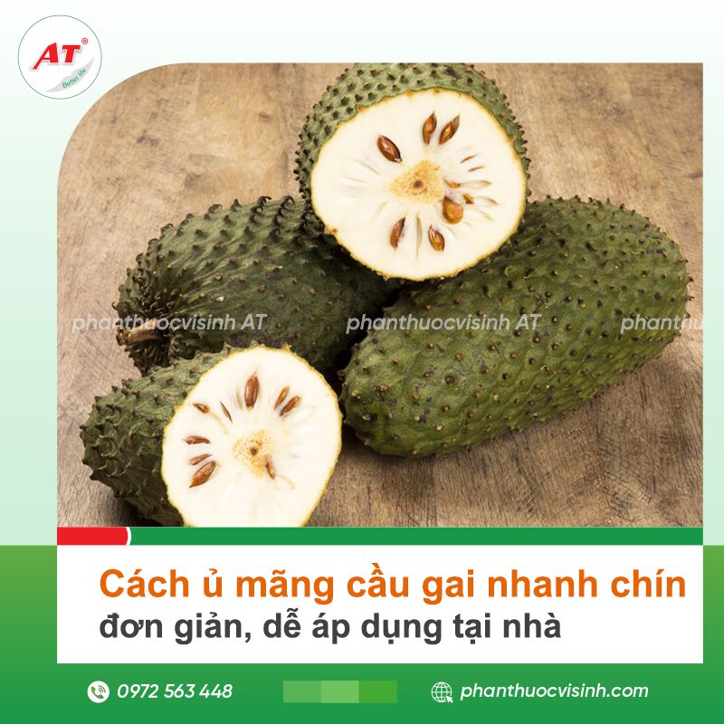 cach u mang cau gai nhanh chin AT