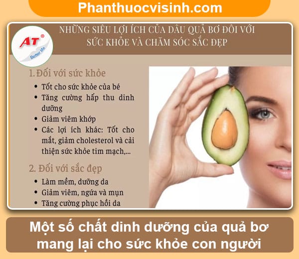 Nguyên nhân và cách khắc phục bơ bị đắng