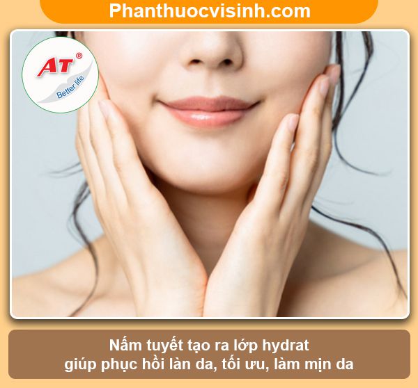 Nấm tuyết có tác dụng gì? Công dụng & Lợi ích với sức khỏe