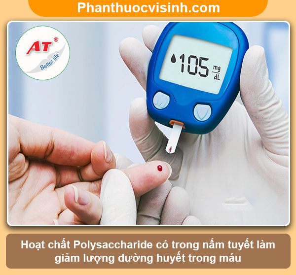 Nấm tuyết có tác dụng gì? Công dụng & Lợi ích với sức khỏe