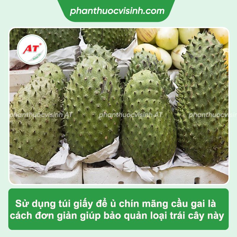 Cách ủ mãng cầu gai nhanh chín tại nhà, không dùng hóa chất