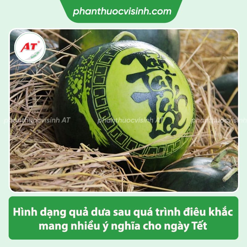 Cách khắc chữ trên dưa hấu đẹp, hay và ý nghĩa cho ngày Tết 4 Cách khắc chữ trên dưa hấu, đơn giản cho mâm cúng ngày Tết