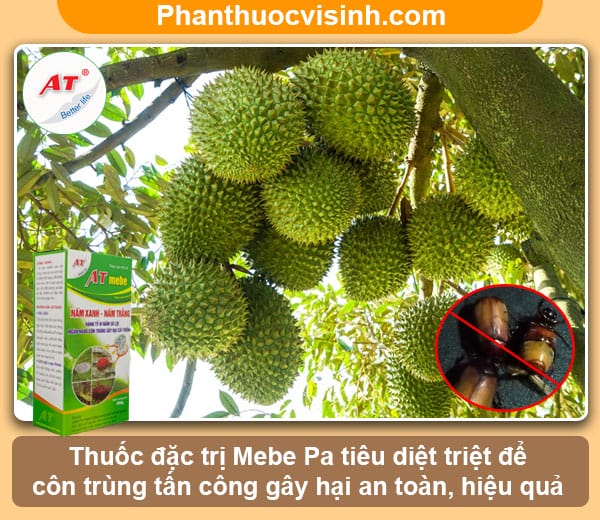 Biện pháp phòng trừ bọ cánh cứng hại sầu riêng