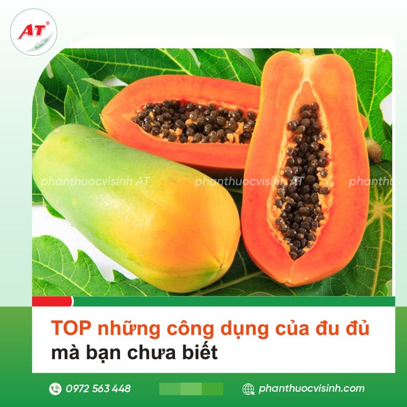 TOP những công dụng của đu đủ mà bạn chưa biết