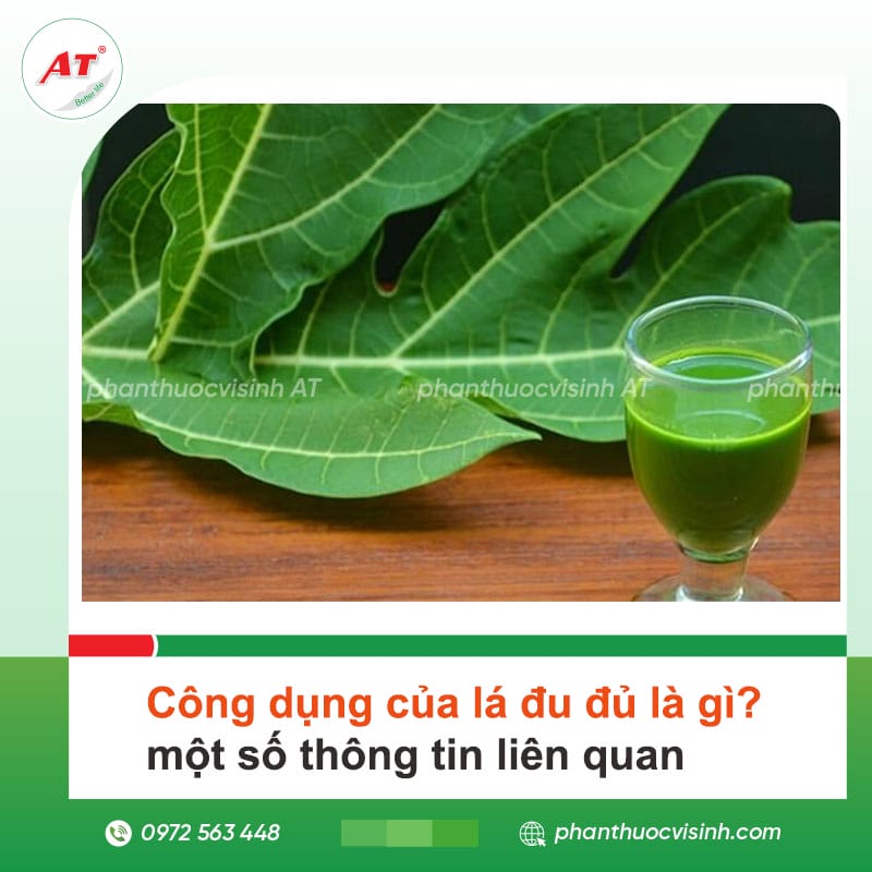 Công dụng của lá đu đủ là gì? một số thông tin liên quan