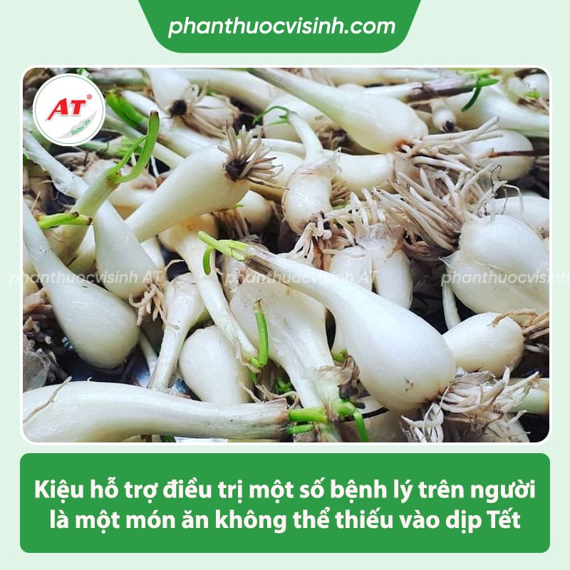 Những công dụng của củ kiệu mang đến cho sức khỏe con người