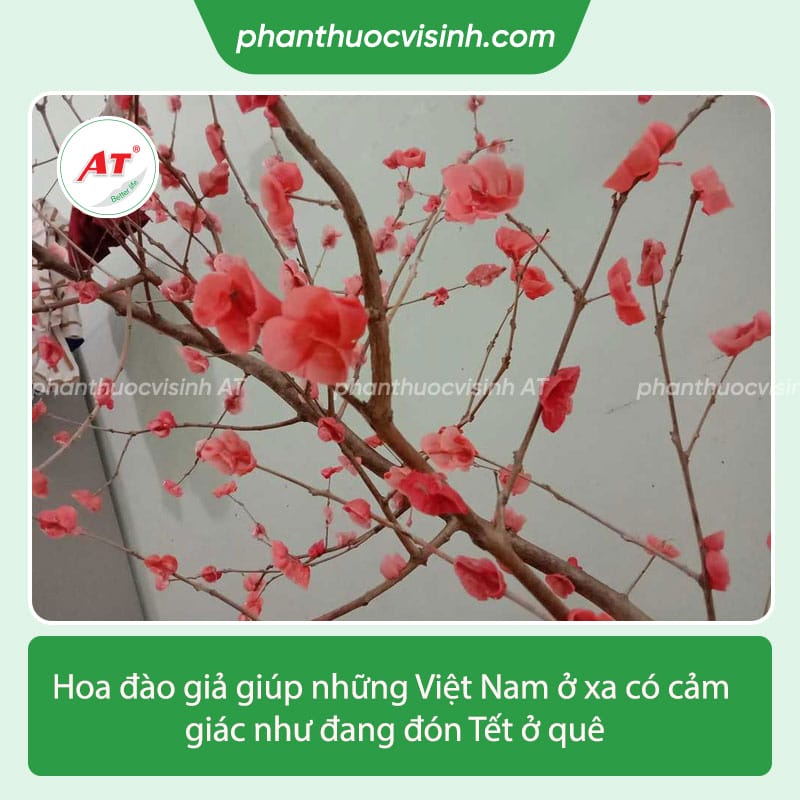 Hướng dẫn cách làm hoa đào bằng nến trang trí ngày tết 1 Đu trend học cách làm hoa đào bằng nến cho những ngày Tết