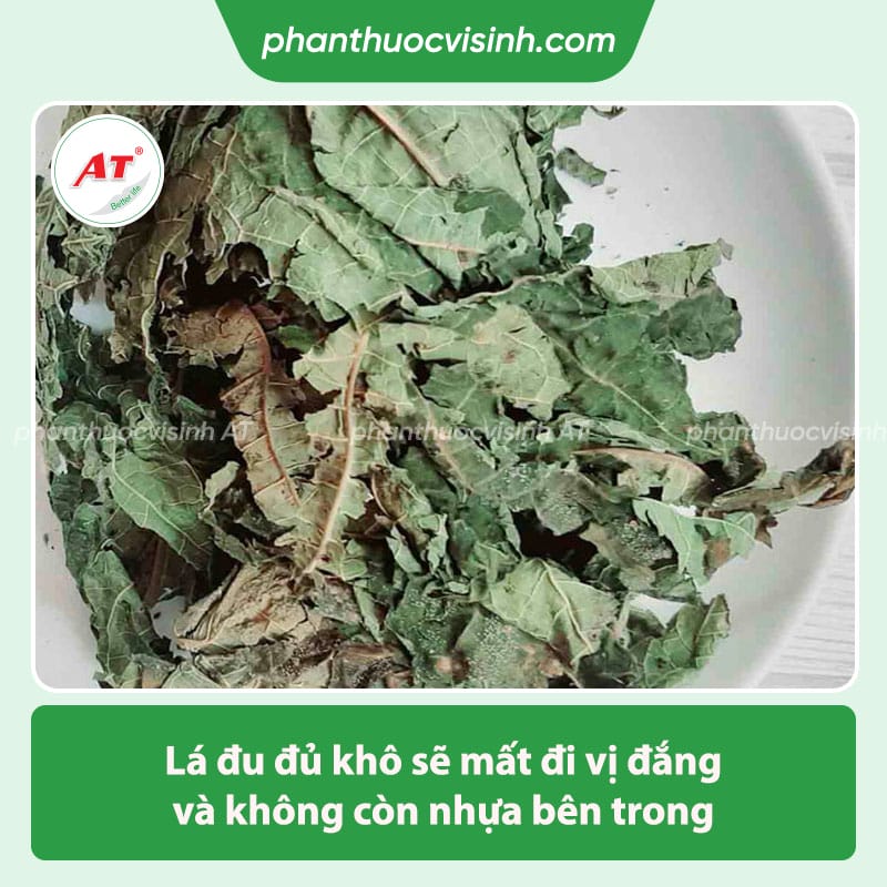 Công dụng của lá đu đủ với sức khỏe & thông tin liên quan 5 Công dụng của lá đu đủ là gì? một số thông tin liên quan