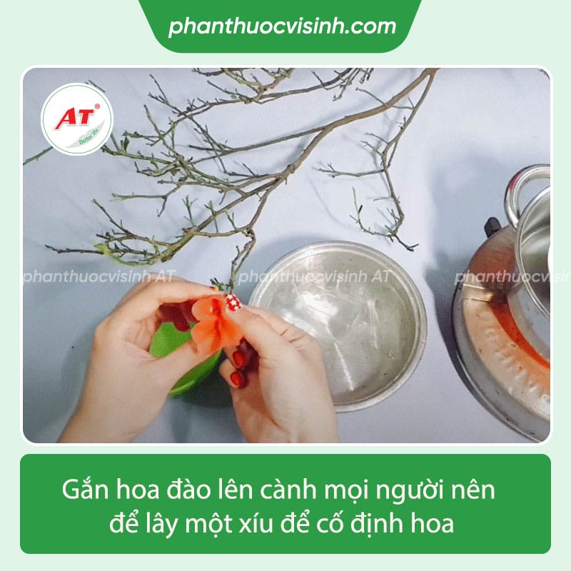 Hướng dẫn cách làm hoa đào bằng nến trang trí ngày tết 3 Đu trend học cách làm hoa đào bằng nến cho những ngày Tết