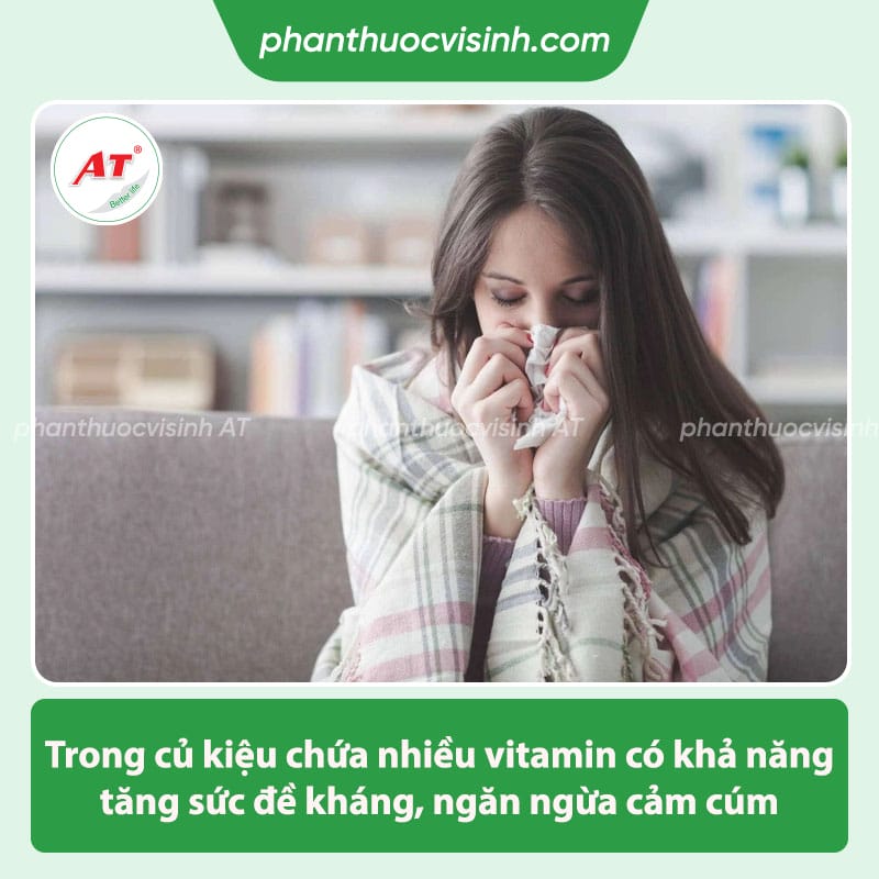 Những công dụng của củ kiệu mang đến cho sức khỏe con người