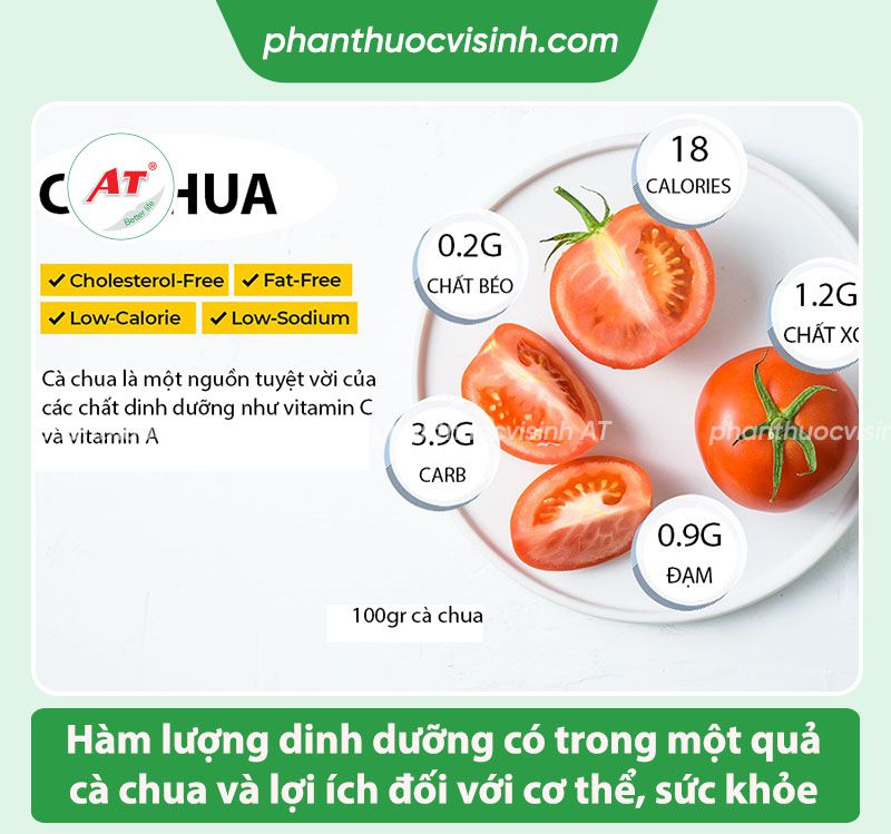 Hướng dẫn cách chăm sóc cà chua ra trái trĩu cành, sai quả