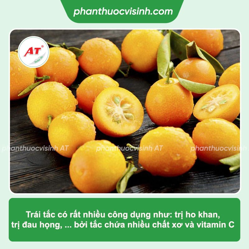 Trái tắc có tác dụng gì đối với sức khỏe của con người