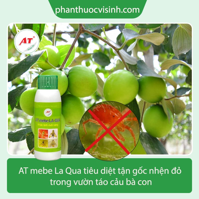 phong tru nhen do tren cay tao bang AT mebe La Qua