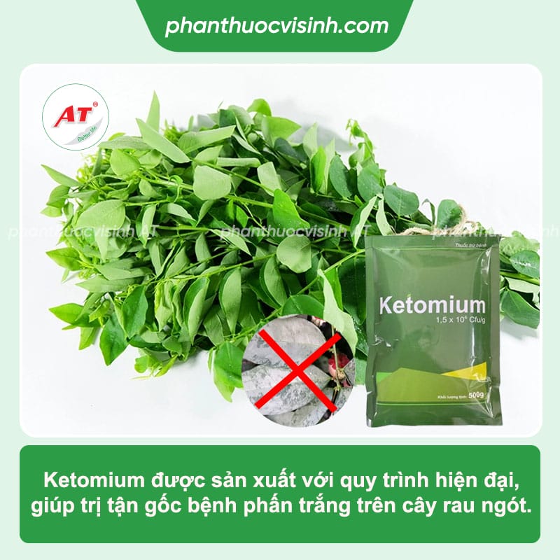 Bệnh phấn trắng trên rau ngót: Cách phòng bệnh và trị dứt điểm