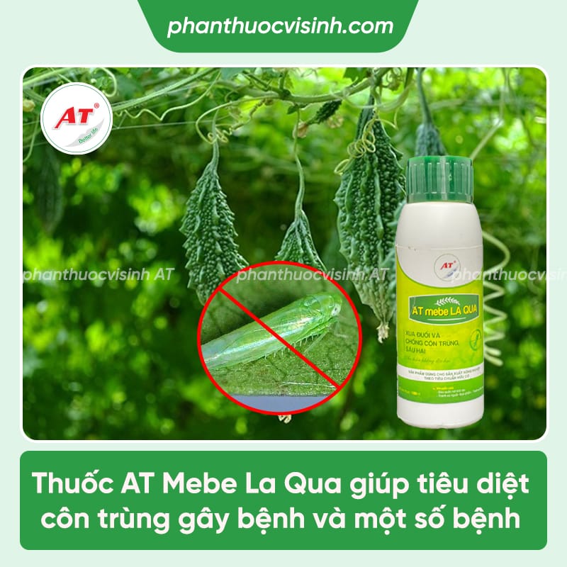 Cách phòng trị rầy xanh hại khổ qua an toàn hiệu quả