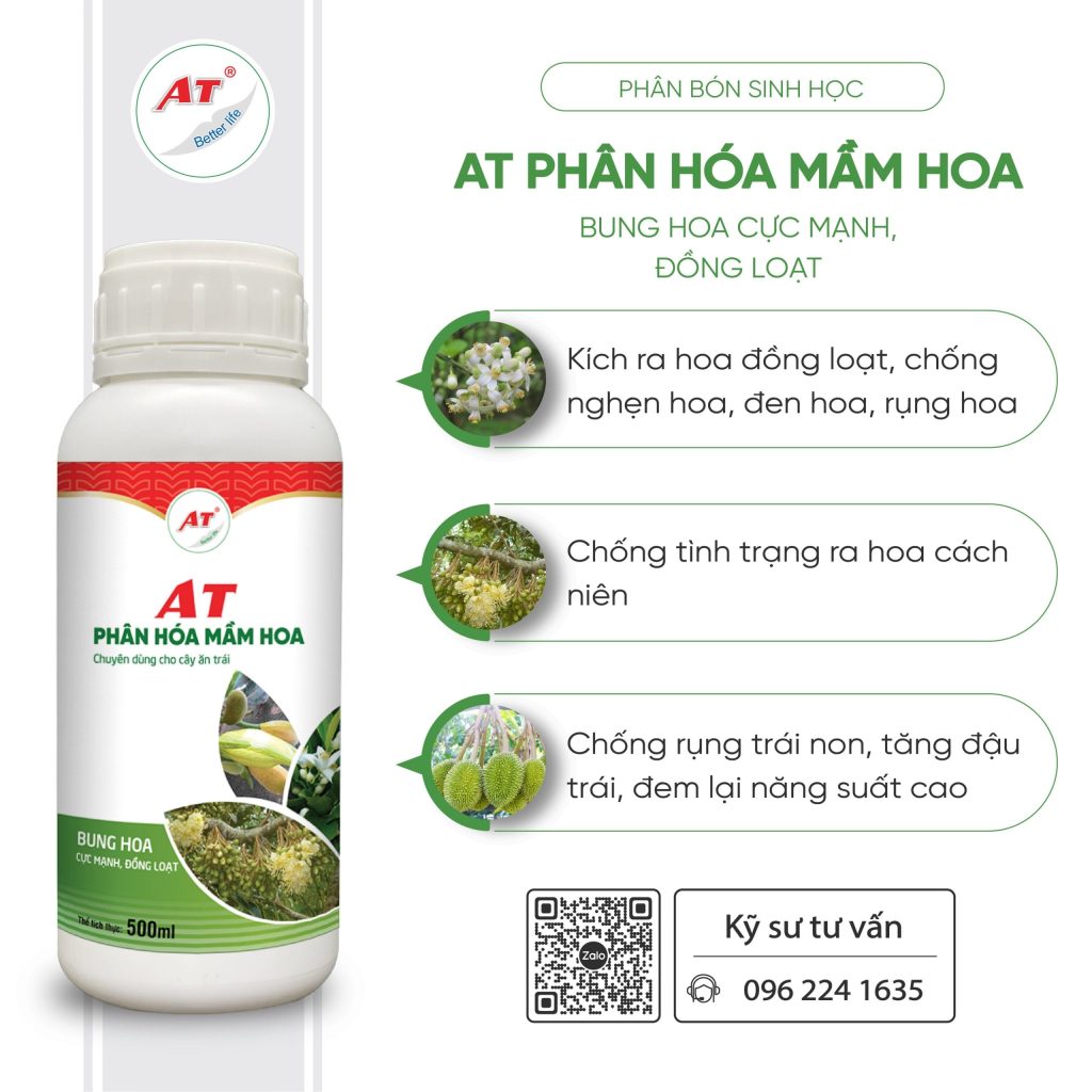 Thuốc kích ra hoa hồng - AT Phân hóa mầm hoa hiệu quả 4 Thuốc kích ra hoa hồng - AT Phân hóa mầm hoa hiệu quả
