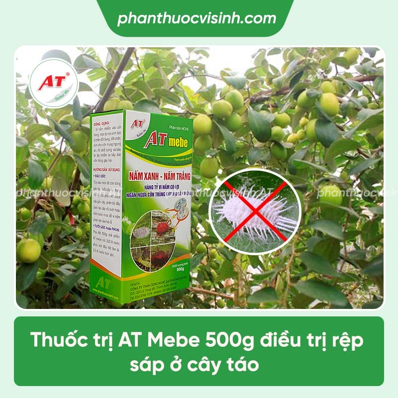 Rệp sáp hại táo gây ra hậu quả gì và cách ngăn ngừa